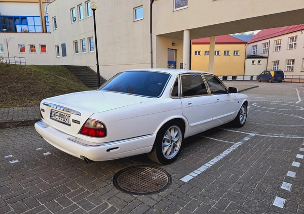 Jaguar XJ cena 16500 przebieg: 220000, rok produkcji 1997 z Wejherowo małe 106